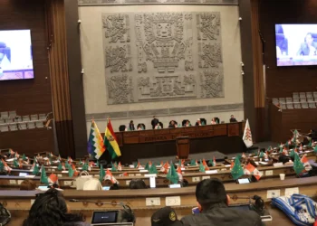 Sesión de la Cámara de Diputados. (Fotos: Diputados)