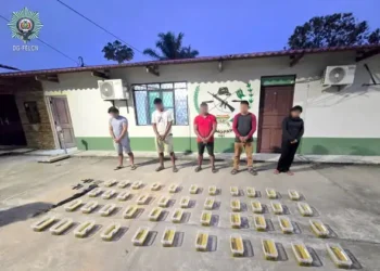 La droga y los aprehendidos por la FELCN/FELCN