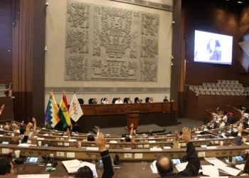 Sesión de la Cámara de Diputados (Foto: Diputados)