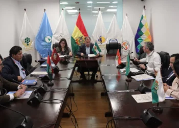 La Comisión Permanente de Representantes ante Organismos Parlamentarios Supraestatales. (Foto:  Diputados)