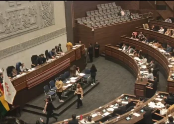 Sesión de la Asamblea. (Fotos: Diputados)