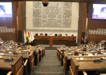 Sesión de la Cámara de Diputados para la elección de vocales departamentales. (Foto: Diputados)