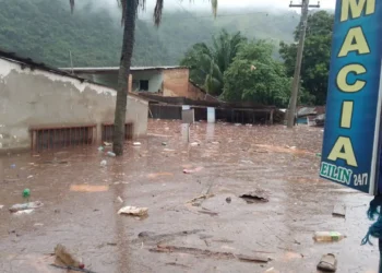 Algunas viviendas están con agua cerca al techo/RRSS