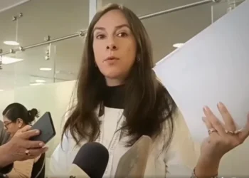 La diputada Andrea Ballivián presentó la lista enviada por la Contraloría.
