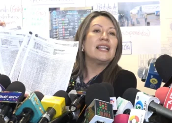 La senadora Claudia Mallon brinda una conferencia de prensa. (Foto: Captura Senado)