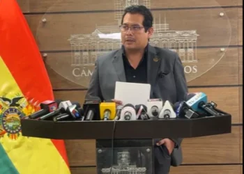 El presidente de la Cámara de Diputados, Roberto Castro, brinda una conferencia de prensa. (Captura: DIputados)
