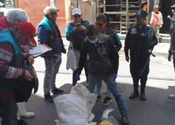 Personal edil decomisó pollos en descomposición en la feria de la Max Paredes. FOTO: GAMLP