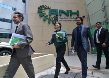 Una intervención en oficinas de la ANH. Foto: APG.