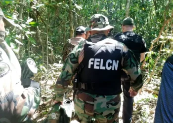 Un operativo antidroga en el Trópico de Cochabamba.
Foto: FELCN