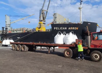 La llegada del buque Pelican Arrow al puerto peruano de Ilo. Foto: ASP-B.