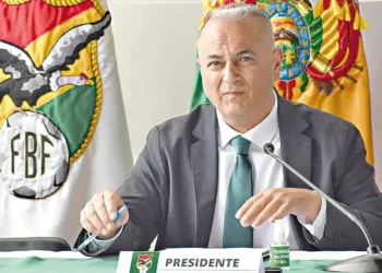 Consejo División Profesional