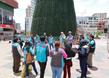 arbol
