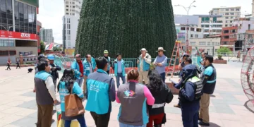 arbol