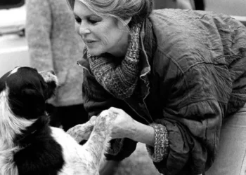 bardot_fundacion1.jpg
