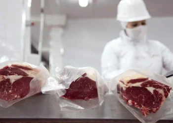 carne