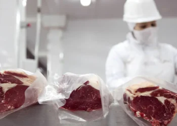 carne
