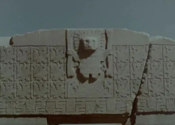 documental.jpg