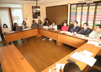 Una reunión entre el Sedem y el Ministerio de Salud para analizar subsidios para madres en 2026. Foto: Sedem.
