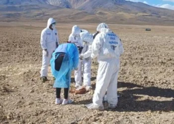 Personal de la Fiscalía de Oruro realiza el levantamiento de los restos óseos. FOTO: Fiscalía de Oruro