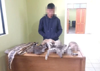 El dueño de una tienda de medicina tradicional fue aprehendido por tener animales silvestres disecados en su negocio. FOTO: Fiscalía de La Paz