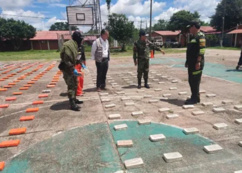 Agentes de la FELCN y el viceministro Ernesto Justiniano observan los paquetes de droga. (Foto: Viceministerio de Sustancias Controladas)