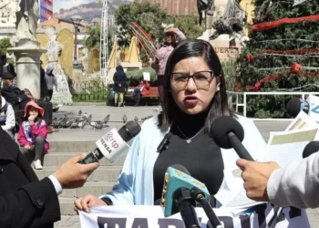 La diputada Lisa Claros es entrevistada por la prensa. (Foto: Diputados)