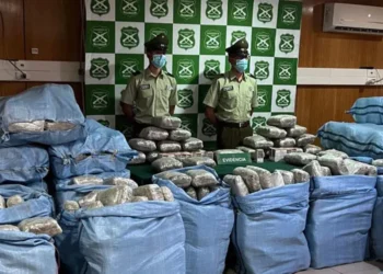 Las bolsas con paquetes con marihuana hallados en el vehículo/Carabineros de Chile
