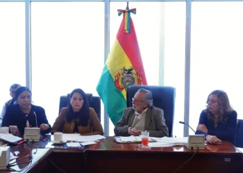 La comisión de Constitución de Diputados escucha la disertación de la presidente del TCP, Paola Prudencia. (Foto: Diputados)