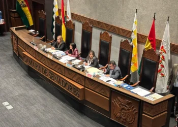 Directiva de la Cámara de Senadores. (Foto: Senado).