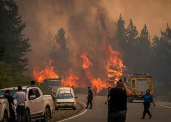 Bomberos combaten las llamas para extinguir un incendio forestal en el Monte Pirque/AFP