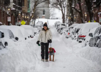 Una mujer pasea a su perro en la nieve por una calle en Boston/AFP