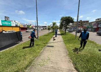 Tareas de poda y limpieza en Santa Cruz. Foto: GAMSC