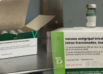 Un millón de vacunas contra la influenza arribarán al país en la segunda quincena de enero. FOTO: Ministerio de Salud