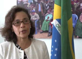 La ministra sustituta de la Cancillería brasileña, Maria Laura da Rocha. (Foto: OGlobo)