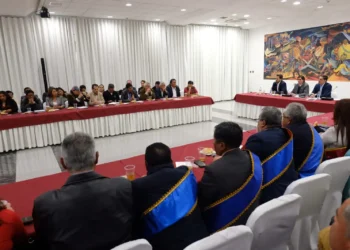 La reunión entre ministros de Estado y organizaciones sociales. Foto: Ministerio de Desarrollo Productivo.