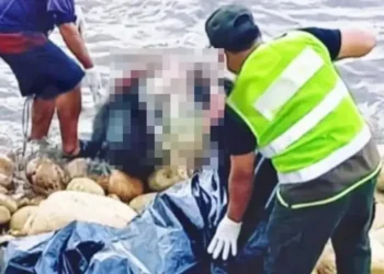 La Policía recuperó el cadáver/Captura de pantalla