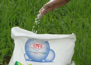 urea