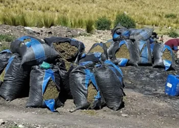 Proceso de incineración de la marihuana decomisada. (Foto: Fiscalía General)