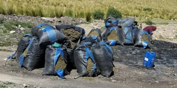Proceso de incineración de la marihuana decomisada. (Foto: Fiscalía General)