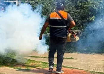 Fumigarán en varias zonas de Santa Cruz/RRSS