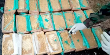 La droga secuestrada por agente de Umopar. (Foto: Viceministerio de Sustancias Controladas)