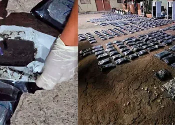 La marihuana decomisada en el Aeropuerto de Viru Viru. (Foto: Viceministerio de Defensa Social)