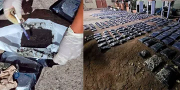 La marihuana decomisada en el Aeropuerto de Viru Viru. (Foto: Viceministerio de Defensa Social)