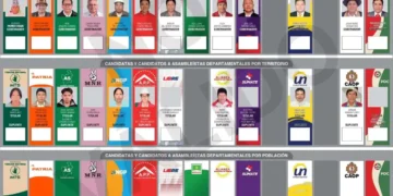 Papeleta de candidatos a gobernador, y asambleístas departamentales en Potosí. (Foto: TED Potosí)