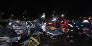 Bomberos realiza un rastrillaje tras el accidente aéreo.