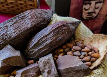 El cacao boliviano logra medallas de oro y plata en ‘Cacao Excellence Awards. FOTO: RRSS