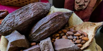 El cacao boliviano logra medallas de oro y plata en ‘Cacao Excellence Awards. FOTO: RRSS