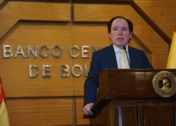 El presidente del BCB habló sobre el dinero que transportaba el avión accidentado/APG