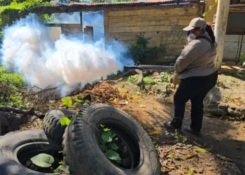 chikungunya
