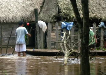 Una vivienda afecta por la inundación en el Tipnis.
Foto: Ayuda en Acción Bolivia